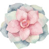 H1045-flower3.png