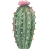 H1045-flower4.png